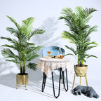 Realistic Artificial Indoor Plants Maintenance Greenery for Home , Office