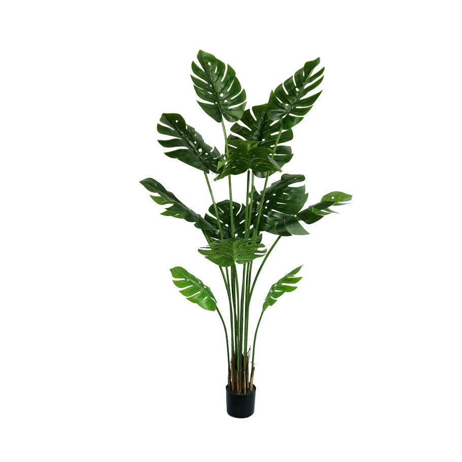 Realistic Artificial Indoor Plants Maintenance Greenery for Home , Office