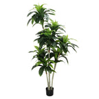 Realistic Artificial Indoor Plants Maintenance Greenery for Home , Office