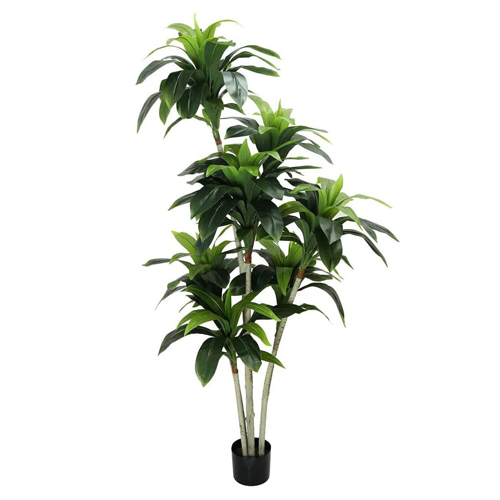 Realistic Artificial Indoor Plants Maintenance Greenery for Home , Office