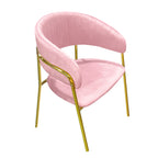 Dining Chairs Velvet Cushion Seat Chair Stainless Steel Golden Legs Dining Room Chair