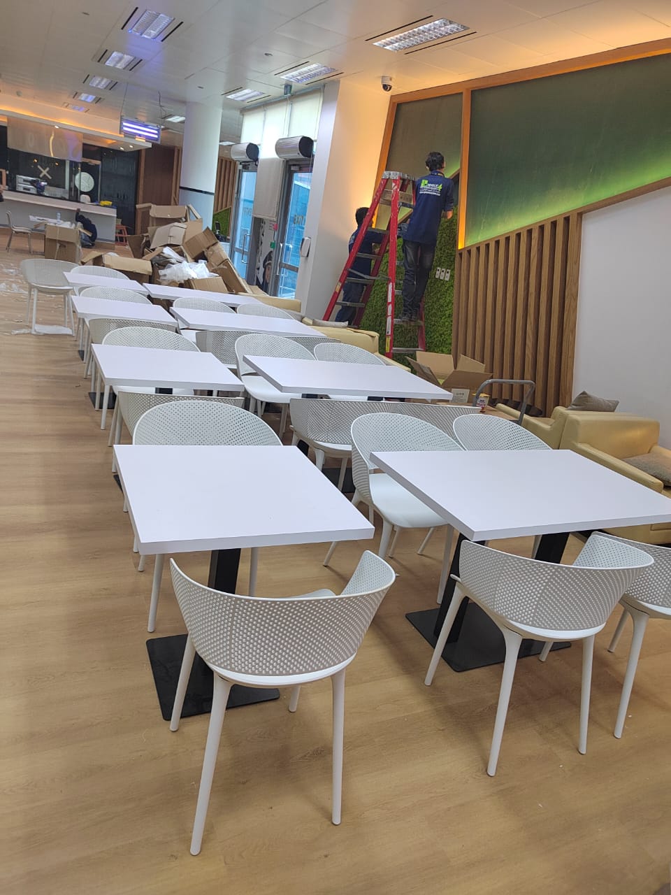 Dining Chairs Plastic Seat Wood Legs Restaurant Chair