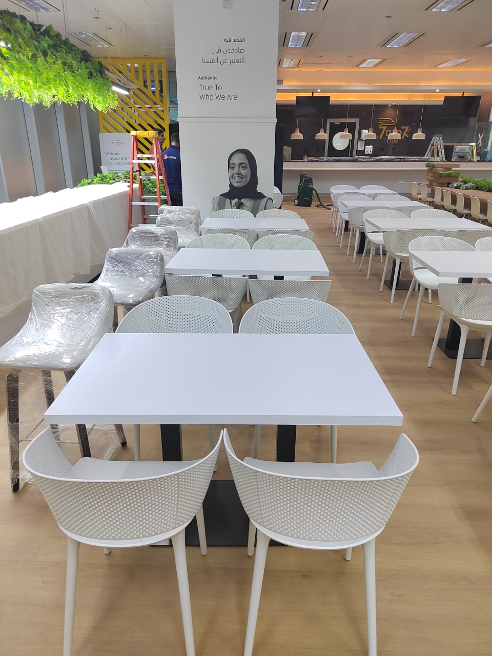 Dining Chairs Plastic Seat Wood Legs Restaurant Chair