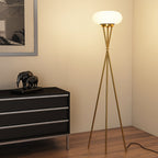 Light , Floor Lamps