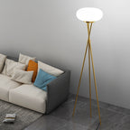 Light , Floor Lamps