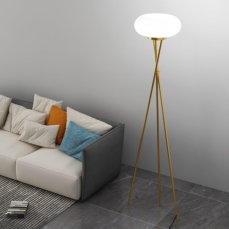Light , Floor Lamps