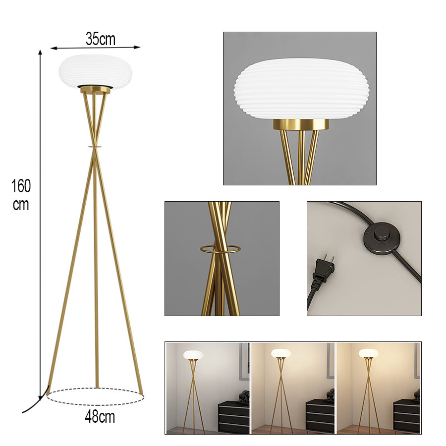 Light , Floor Lamps