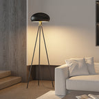 Light , Floor Lamps