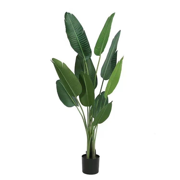 Realistic Artificial Indoor Plants Maintenance Greenery for Home , Office