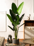 Realistic Artificial Indoor Plants Maintenance Greenery for Home , Office