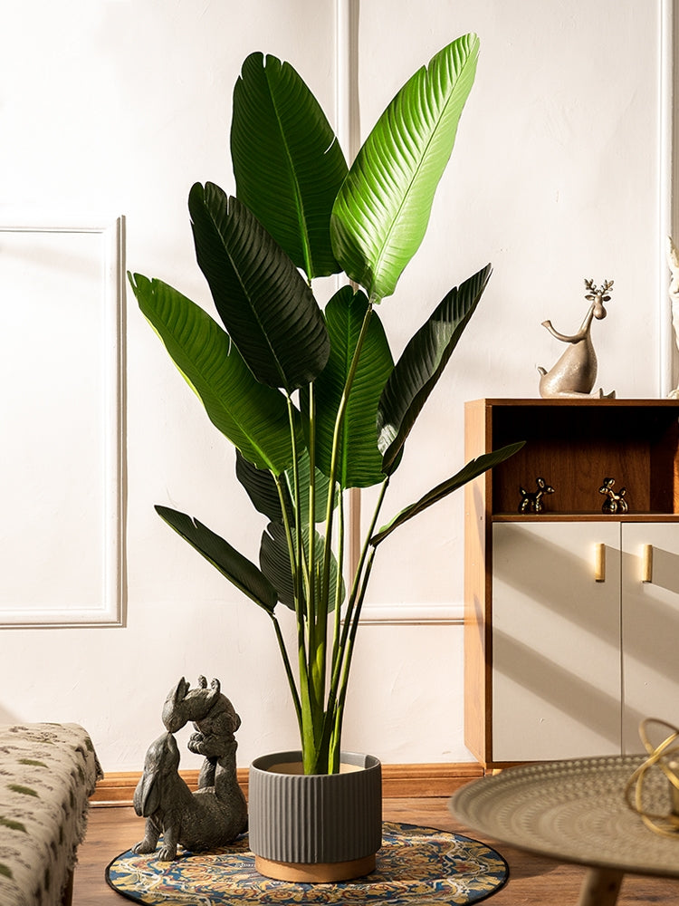 Realistic Artificial Indoor Plants Maintenance Greenery for Home , Office