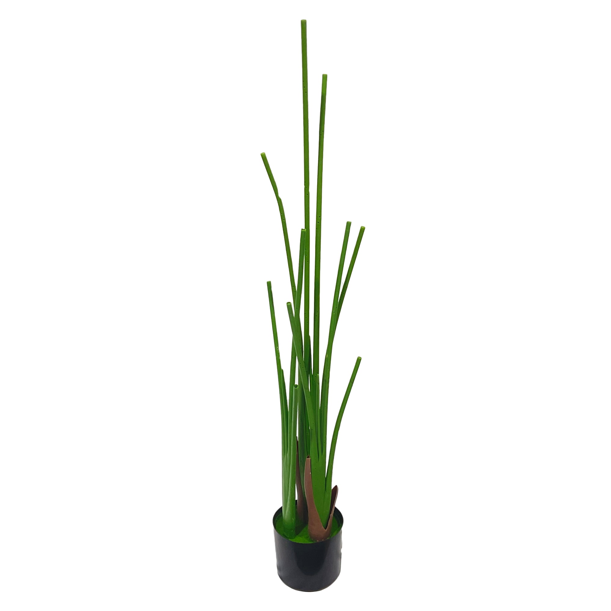 Realistic Artificial Indoor Plants Maintenance Greenery for Home , Office