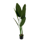Realistic Artificial Indoor Plants Maintenance Greenery for Home , Office