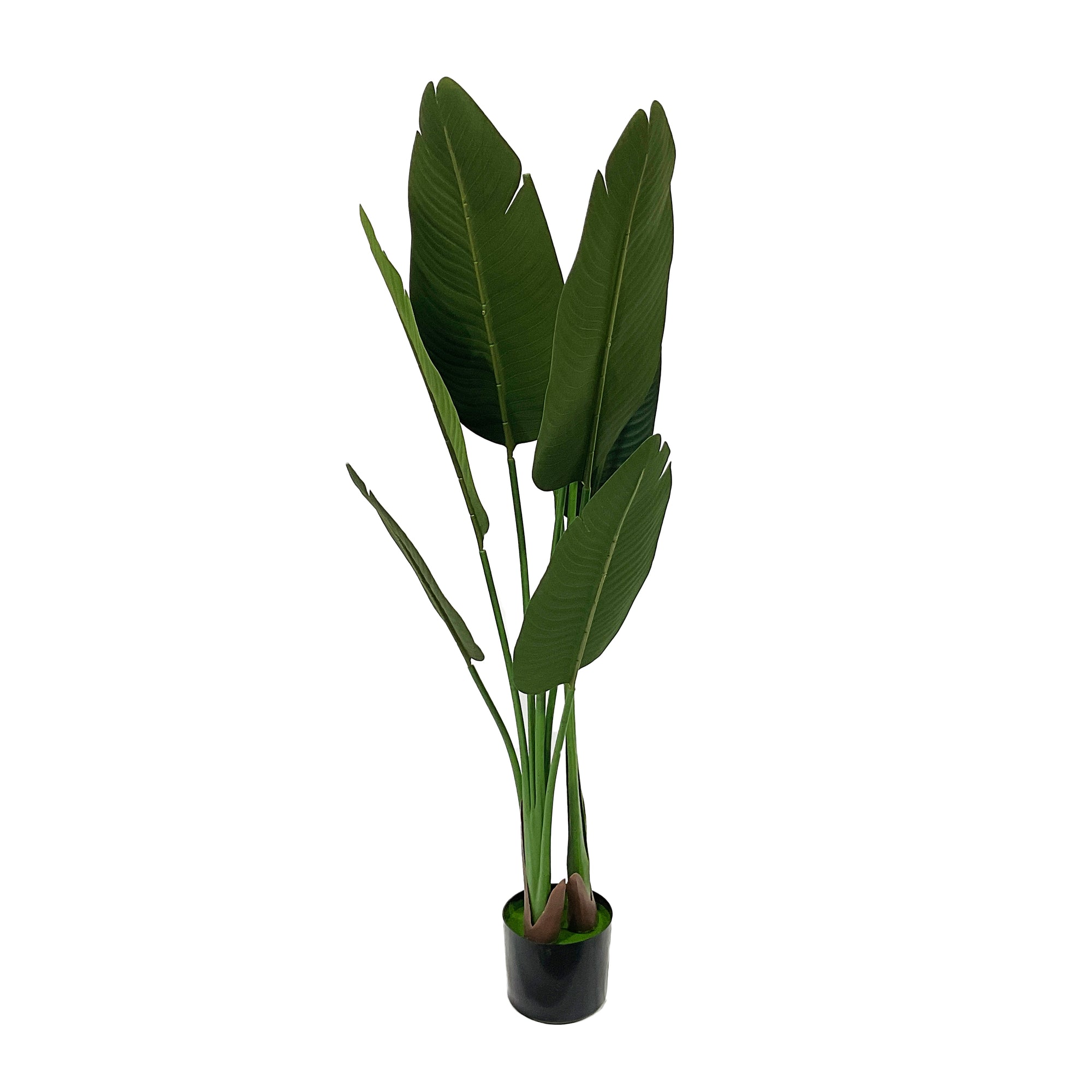 Realistic Artificial Indoor Plants Maintenance Greenery for Home , Office