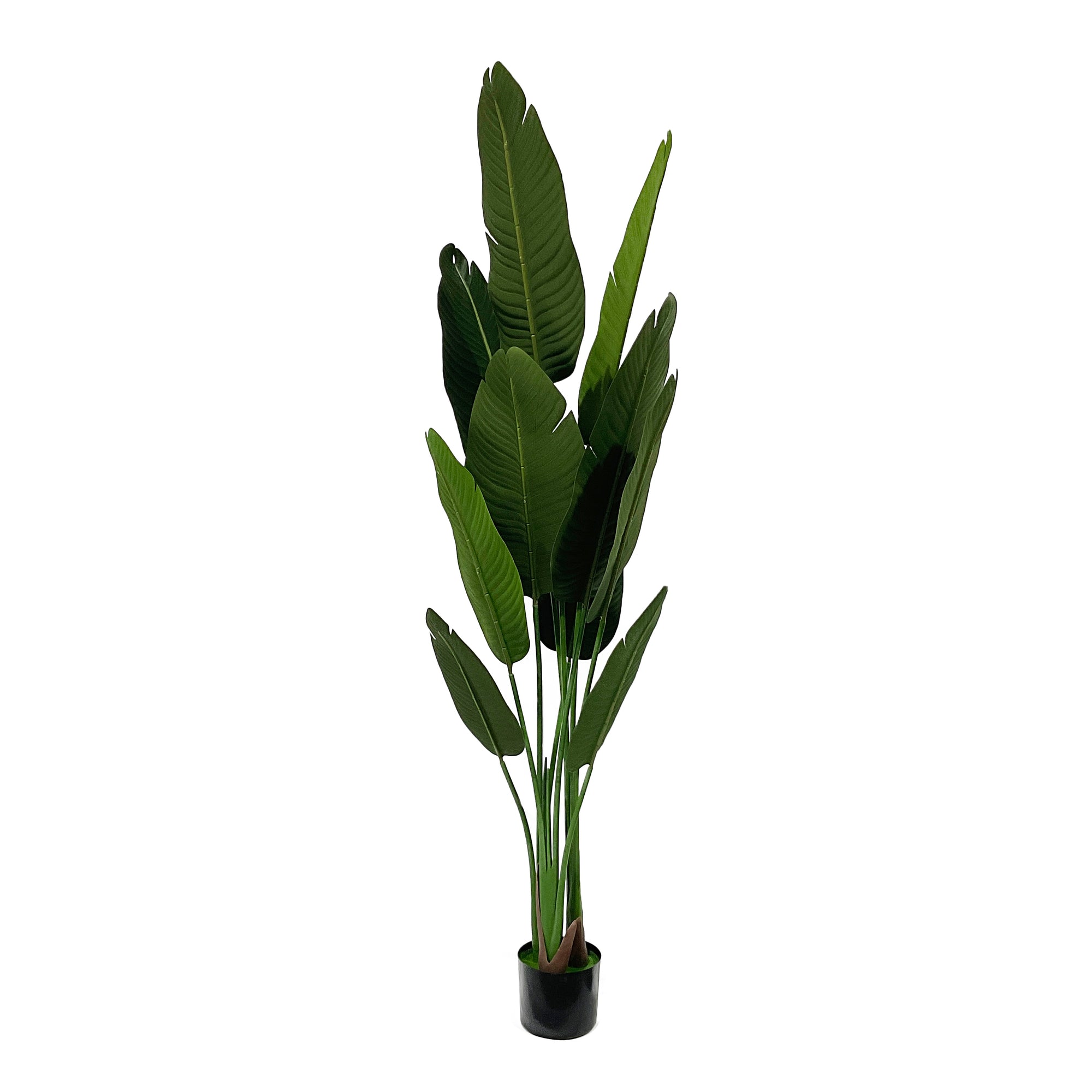 Realistic Artificial Indoor Plants Maintenance Greenery for Home , Office