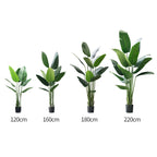 Realistic Artificial Indoor Plants Maintenance Greenery for Home , Office