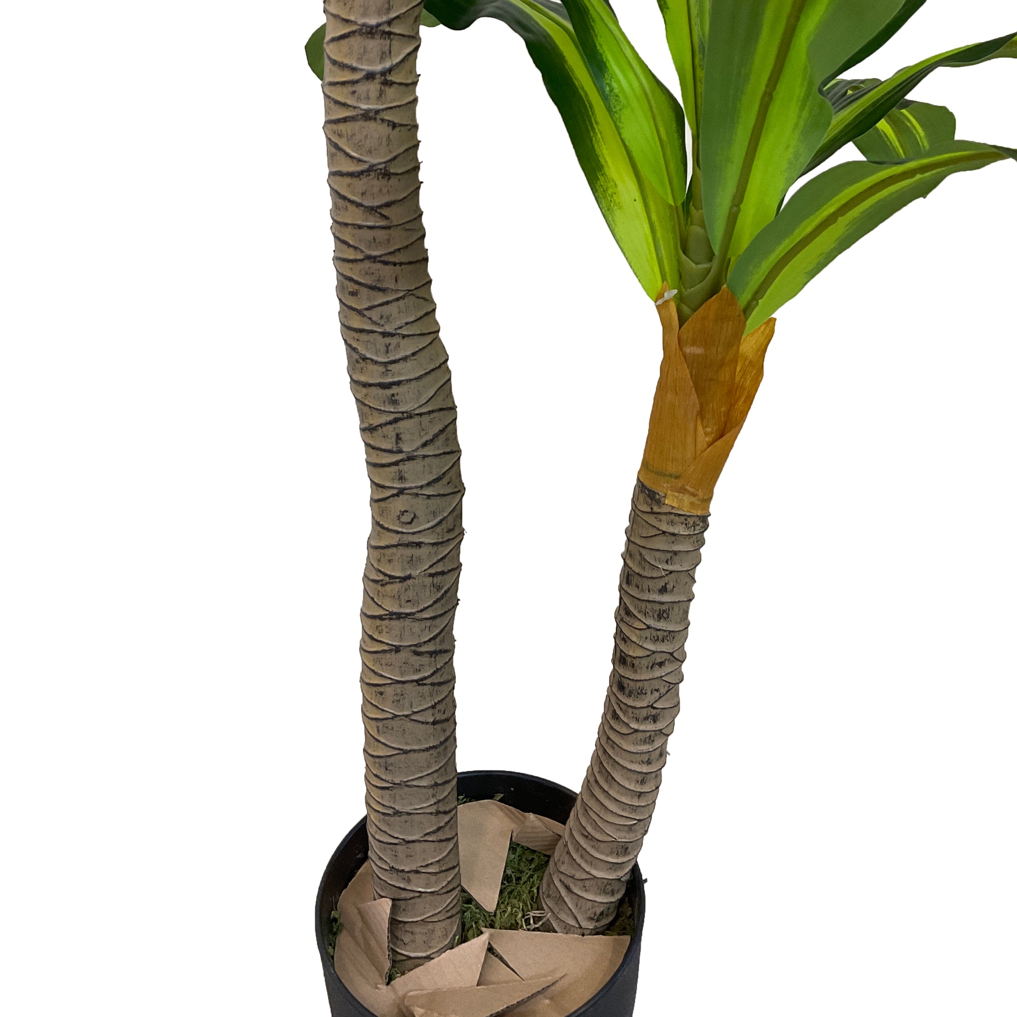Realistic Artificial Indoor Plants Maintenance Greenery for Home , Office
