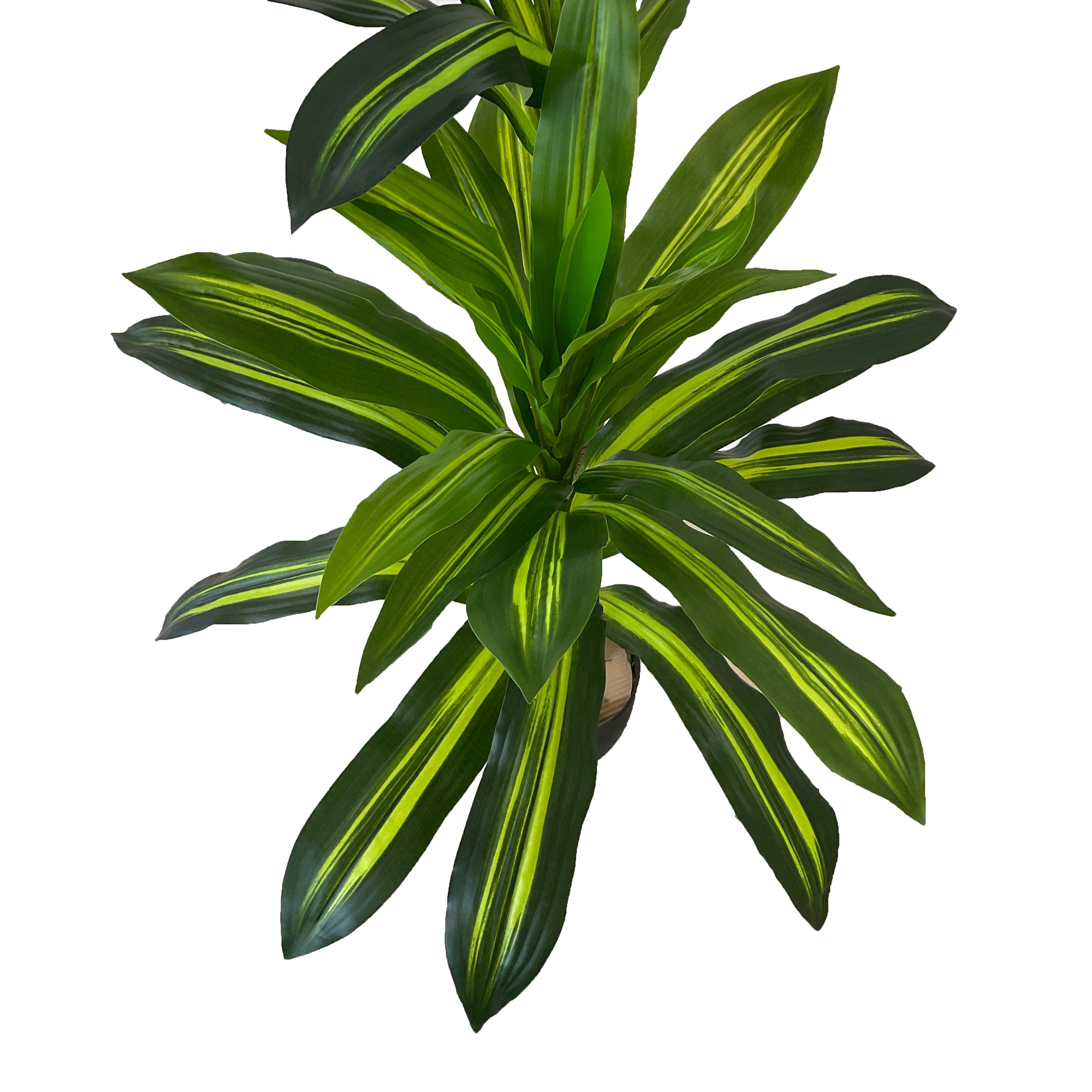 Realistic Artificial Indoor Plants Maintenance Greenery for Home , Office