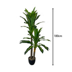 Realistic Artificial Indoor Plants Maintenance Greenery for Home , Office