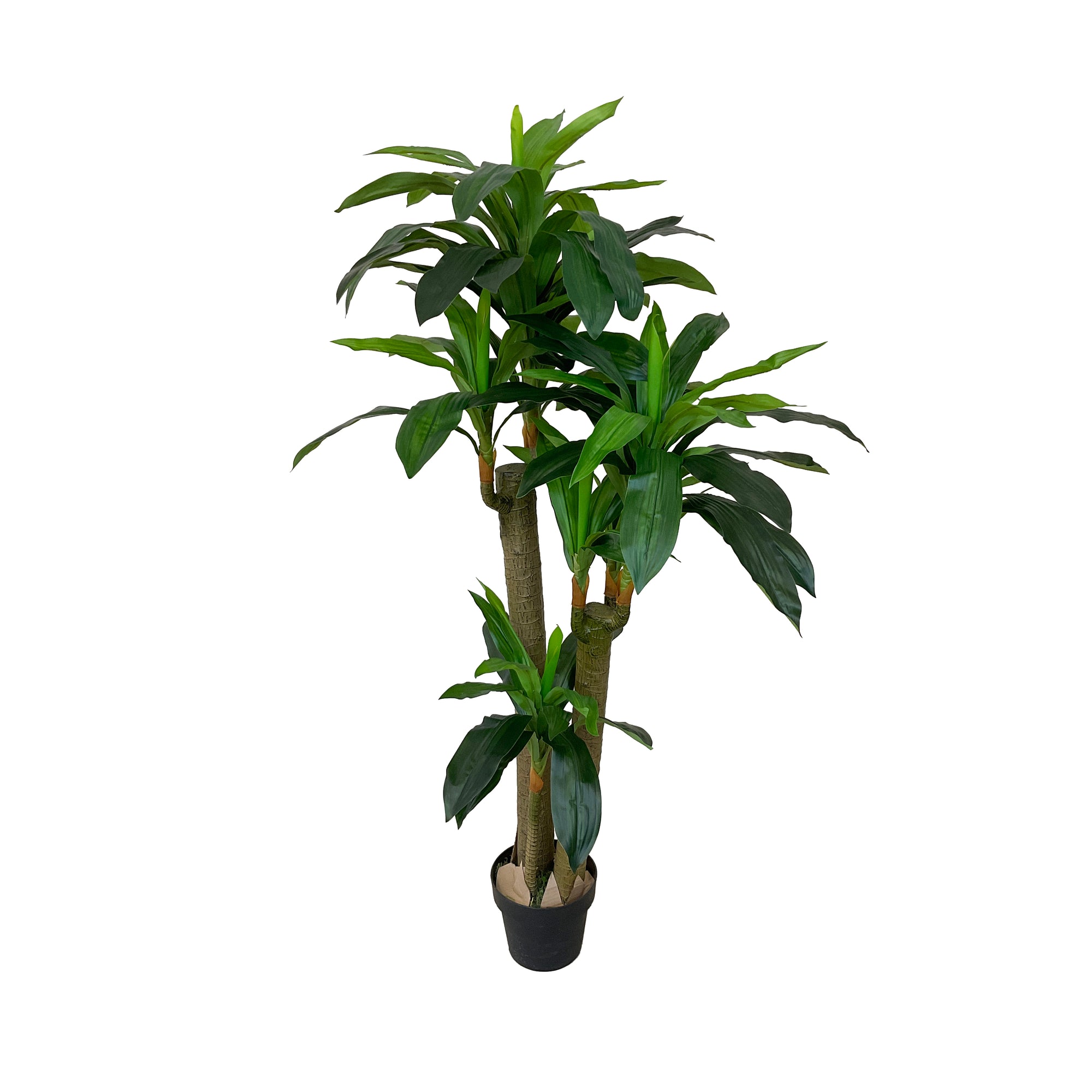 Realistic Artificial Indoor Plants Maintenance Greenery for Home , Office