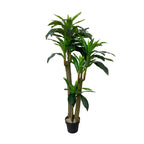 Realistic Artificial Indoor Plants Maintenance Greenery for Home , Office