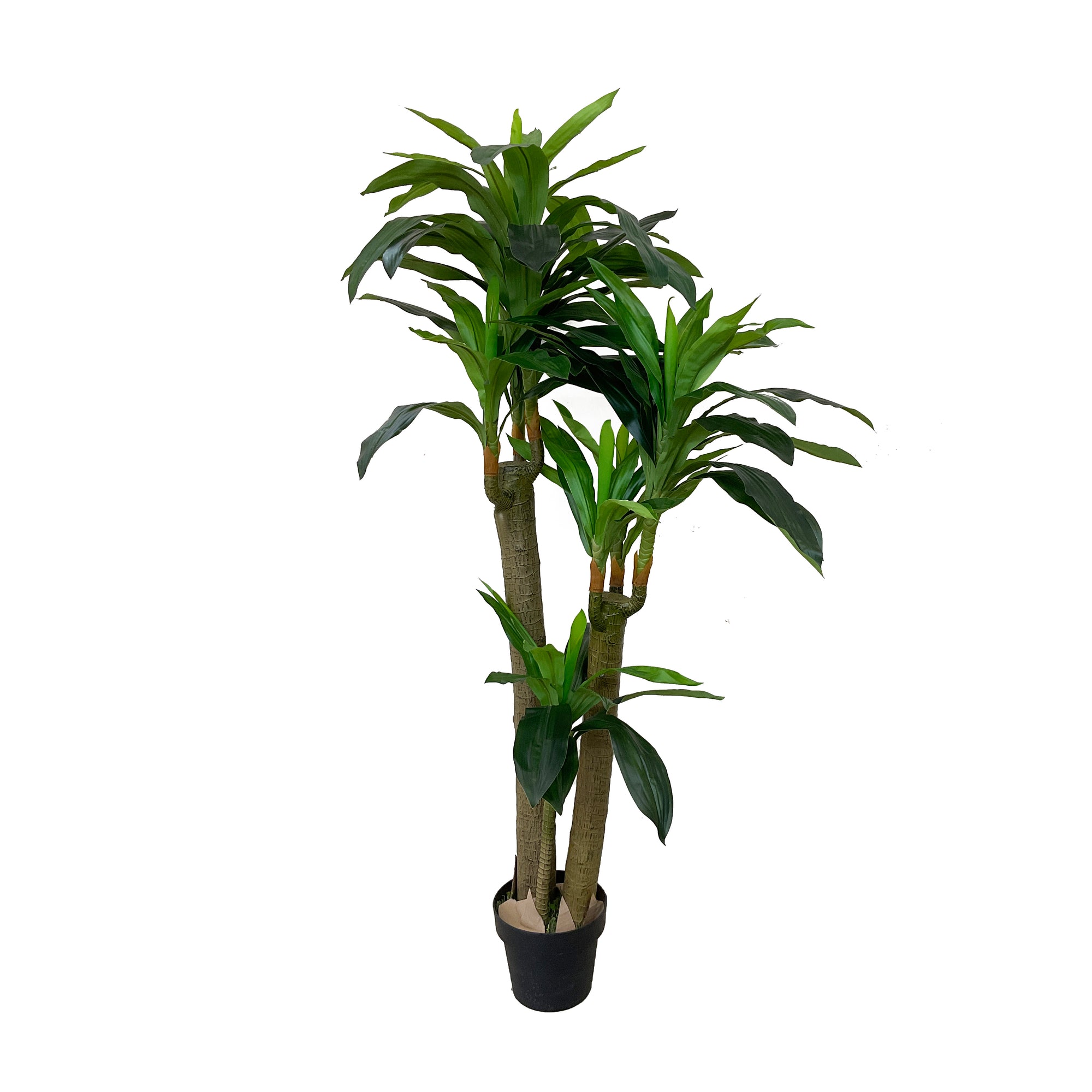Realistic Artificial Indoor Plants Maintenance Greenery for Home , Office