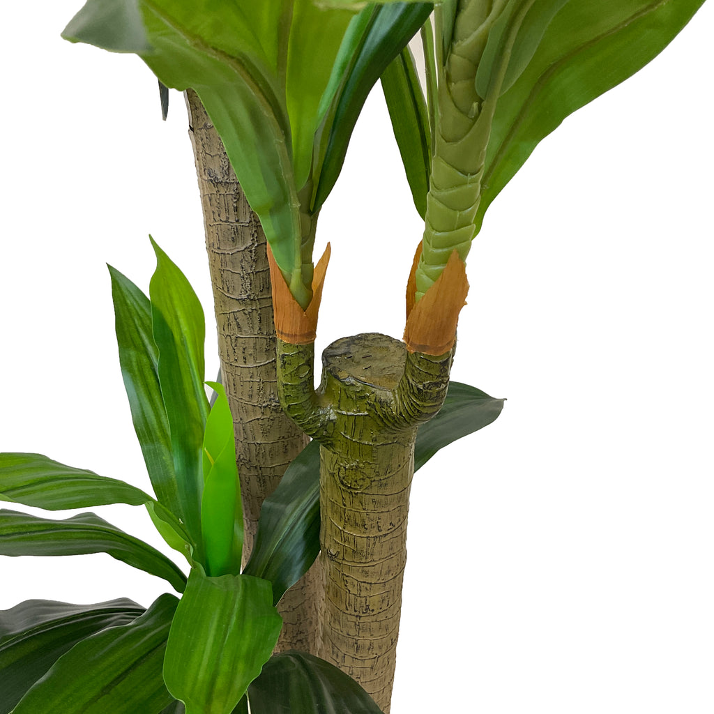 Realistic Artificial Indoor Plants Maintenance Greenery for Home , Office