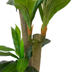 Realistic Artificial Indoor Plants Maintenance Greenery for Home , Office