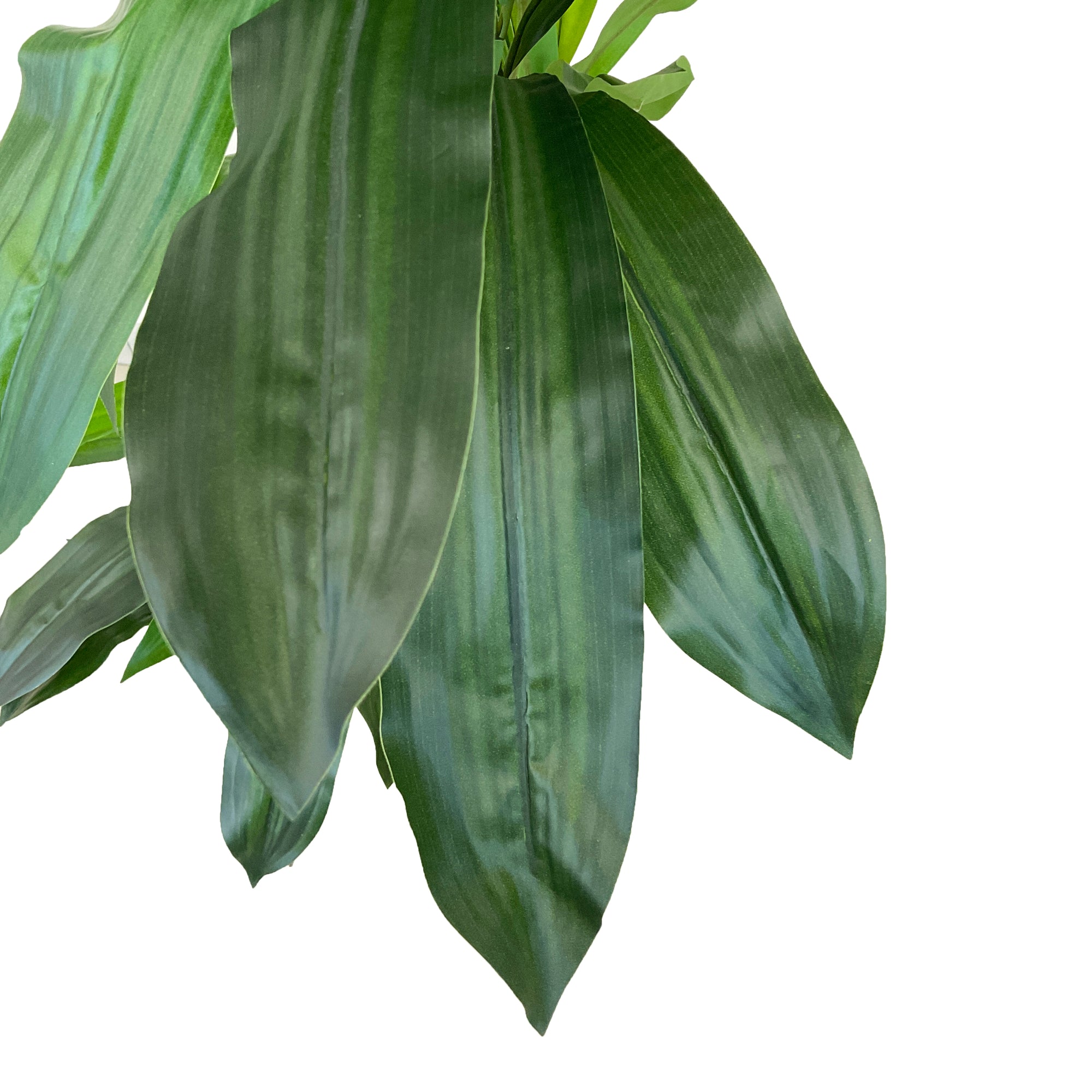 Realistic Artificial Indoor Plants Maintenance Greenery for Home , Office