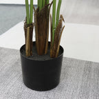 Realistic Artificial Indoor Plants Maintenance Greenery for Home , Office