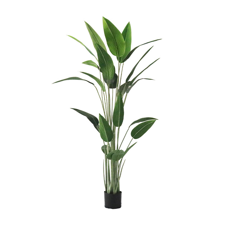 Realistic Artificial Indoor Plants Maintenance Greenery for Home , Office