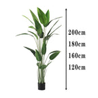 Realistic Artificial Indoor Plants Maintenance Greenery for Home , Office