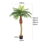 Realistic Artificial Indoor Plants Maintenance Greenery for Home , Office