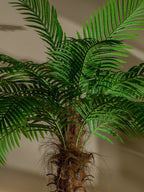 Realistic Artificial Indoor Plants Maintenance Greenery for Home , Office