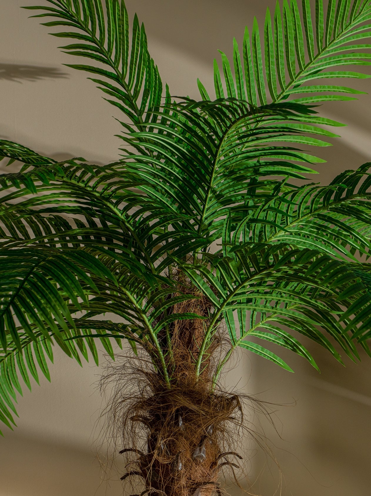 Realistic Artificial Indoor Plants Maintenance Greenery for Home , Office