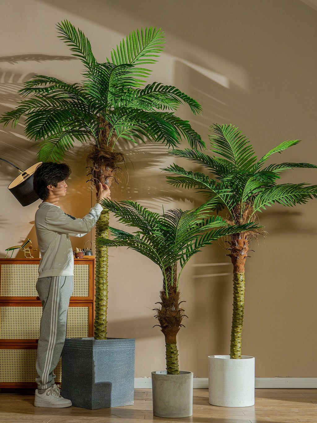 Realistic Artificial Indoor Plants Maintenance Greenery for Home , Office