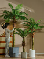 Realistic Artificial Indoor Plants Maintenance Greenery for Home , Office