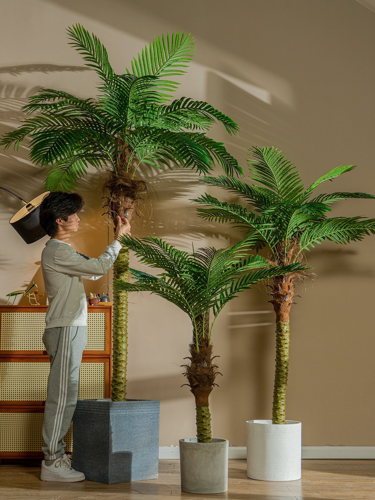 Realistic Artificial Indoor Plants Maintenance Greenery for Home , Office