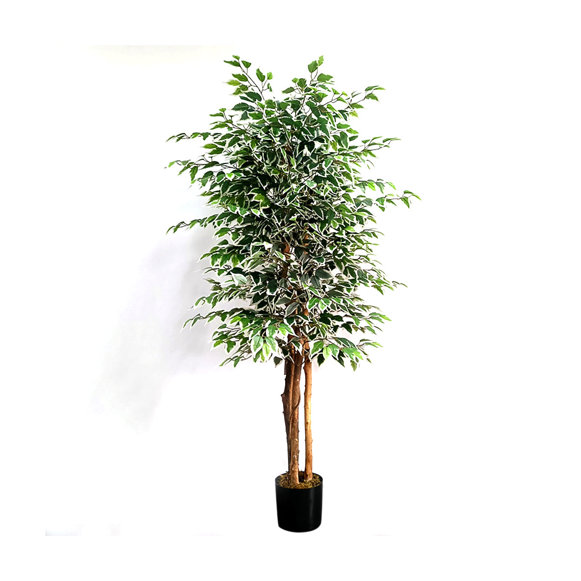 Realistic Artificial Indoor Plants Maintenance Greenery for Home , Office