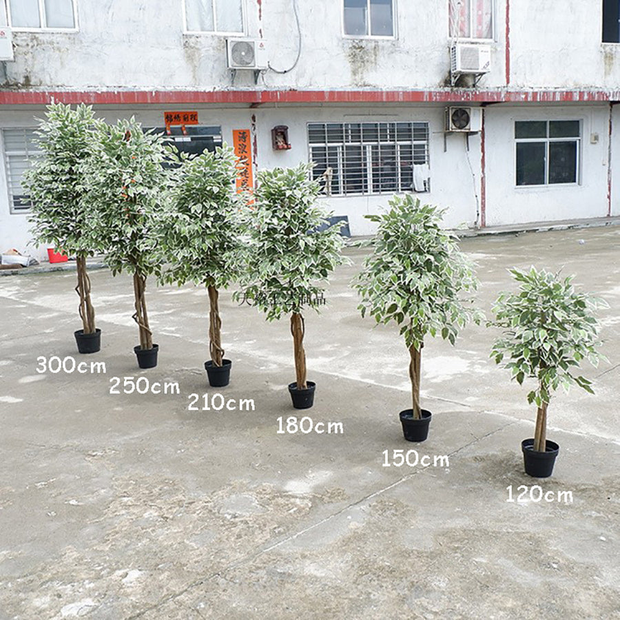 Realistic Artificial Indoor Plants Maintenance Greenery for Home , Office