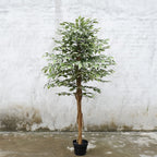 Realistic Artificial Indoor Plants Maintenance Greenery for Home , Office