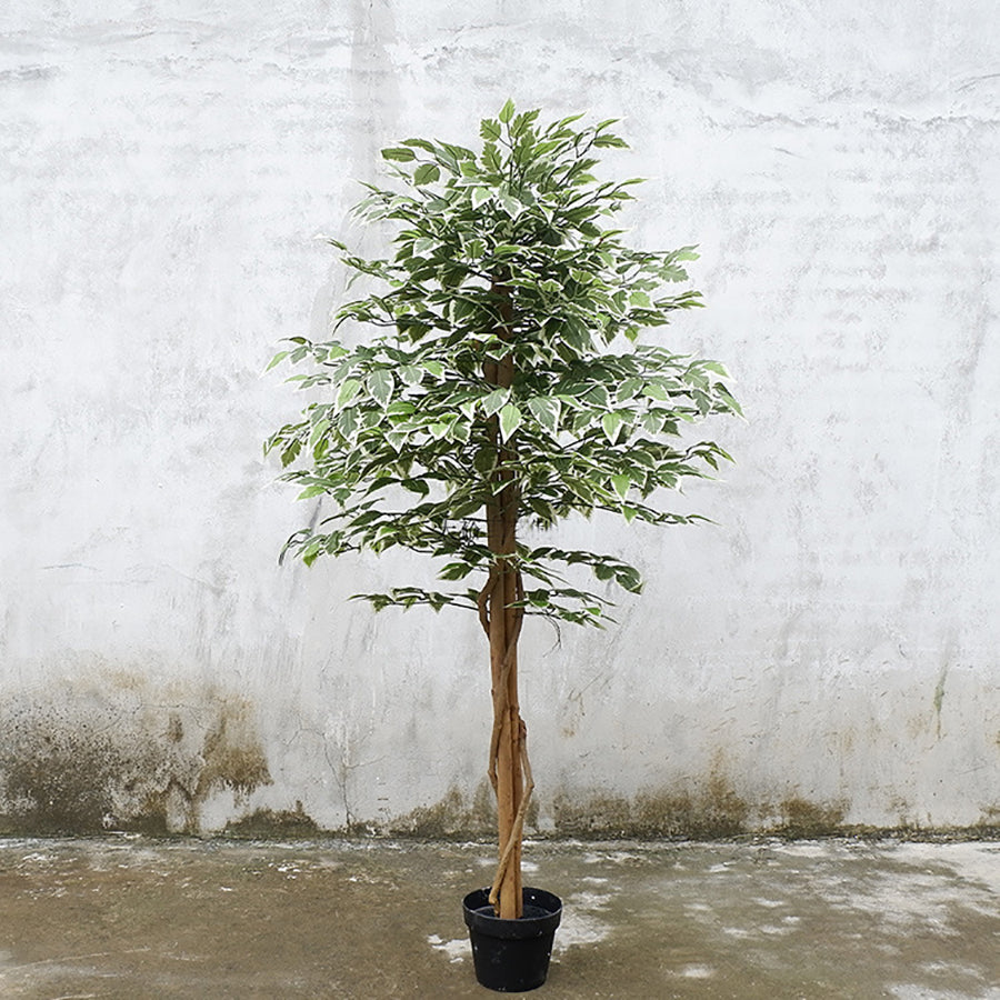 Realistic Artificial Indoor Plants Maintenance Greenery for Home , Office