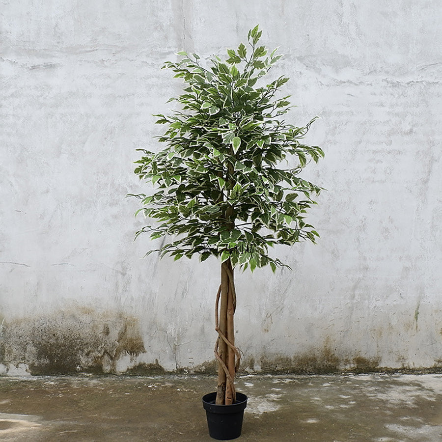 Realistic Artificial Indoor Plants Maintenance Greenery for Home , Office