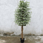 Realistic Artificial Indoor Plants Maintenance Greenery for Home , Office