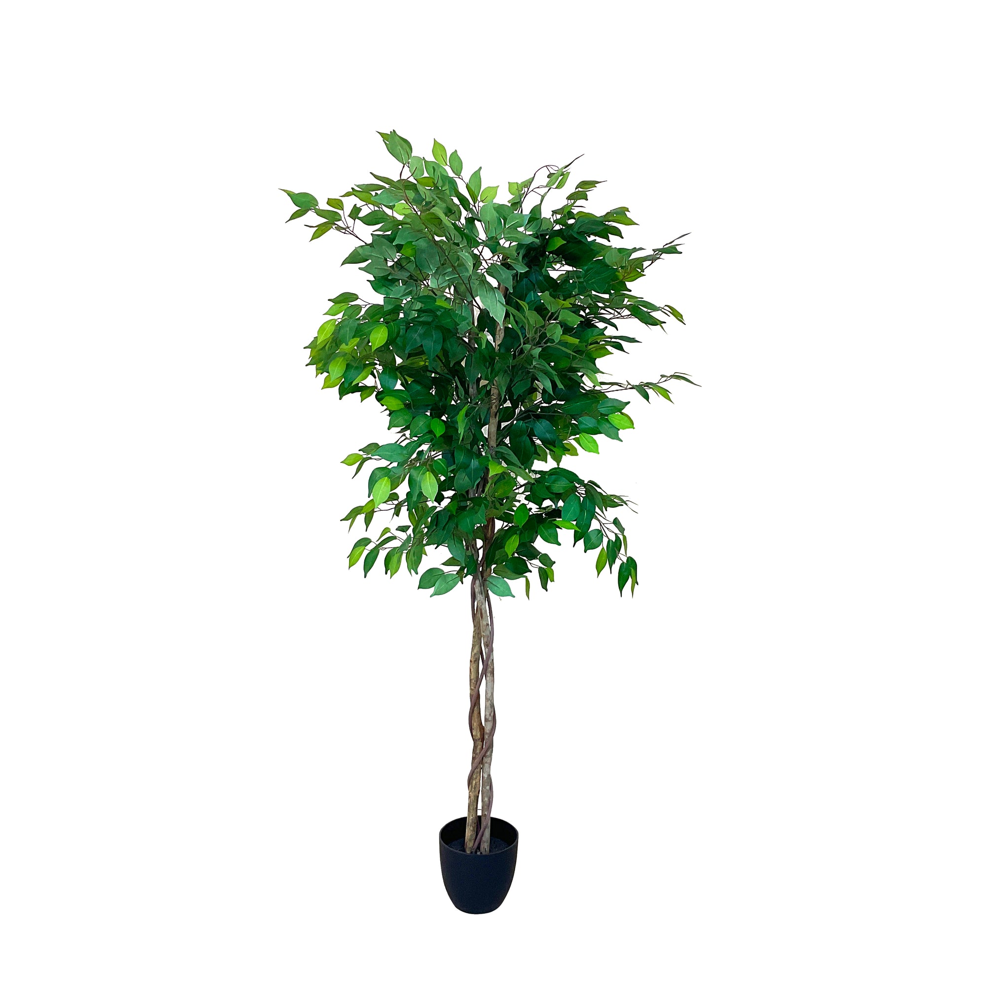 Realistic Artificial Indoor Plants Maintenance Greenery for Home , Office