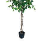 Realistic Artificial Indoor Plants Maintenance Greenery for Home , Office