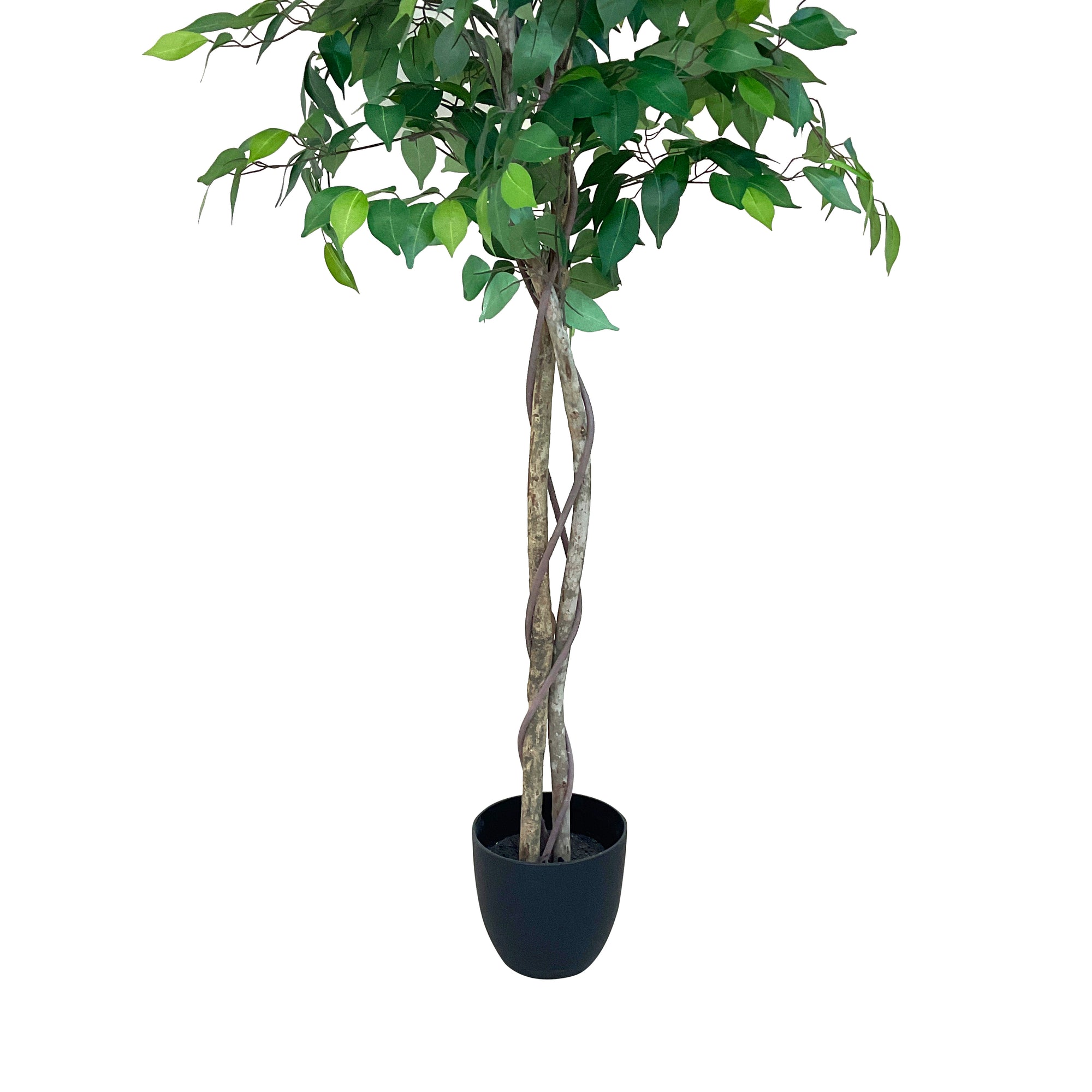 Realistic Artificial Indoor Plants Maintenance Greenery for Home , Office