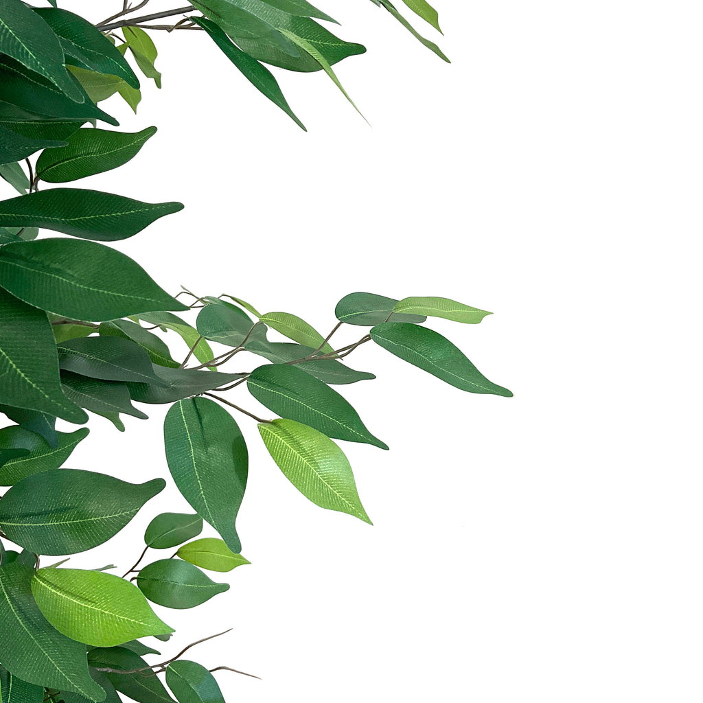 Realistic Artificial Indoor Plants Maintenance Greenery for Home , Office