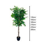 Realistic Artificial Indoor Plants Maintenance Greenery for Home , Office