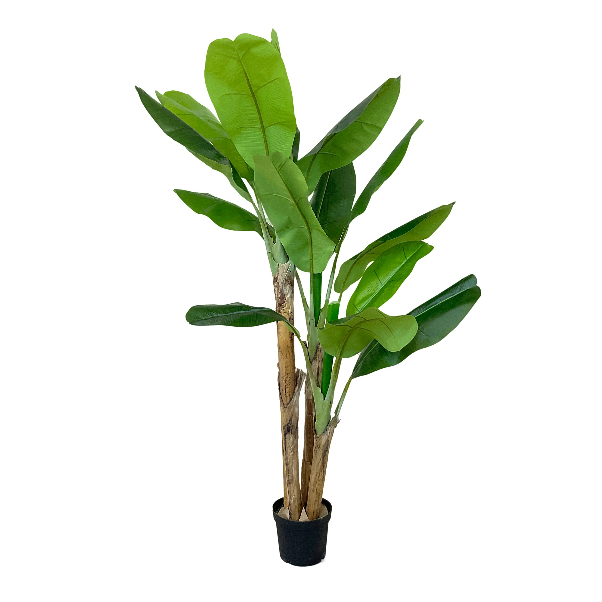 Realistic Artificial Indoor Plants Maintenance Greenery for Home , Office
